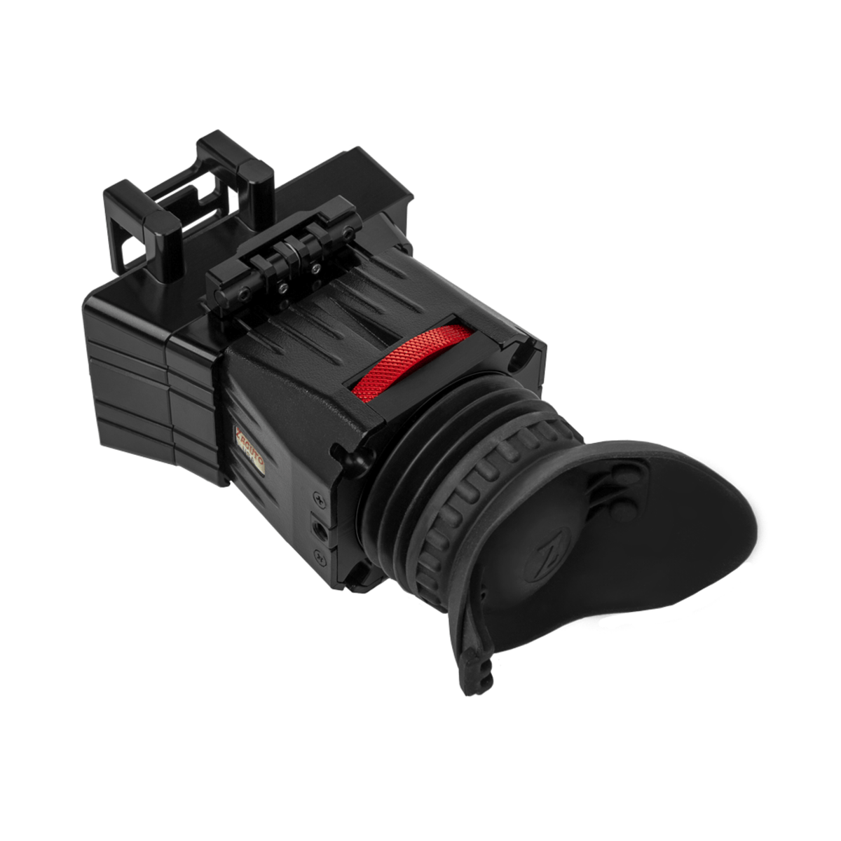 チランジア ファシクラータ, Canon del Zopilote チランジア チランジア ファシクラータ, Canon del Zopilote チランジア